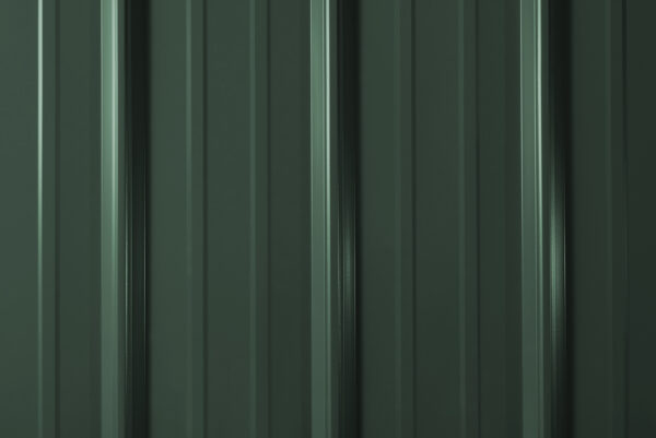 MasterRib_evergreen