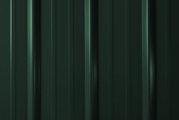 MasterRib_ferngreen